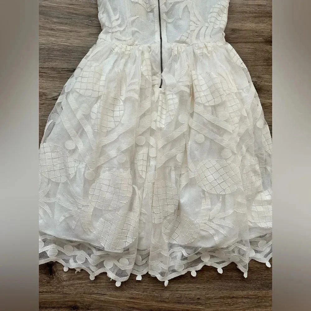 Maeve Anthropologie Pina Pineapple Lace Fit & Flare Dress Sz 4 White Sleeveless - Picture 6 of 9